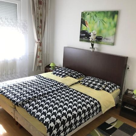 Zen Apartman Ζολνοκ Εξωτερικό φωτογραφία