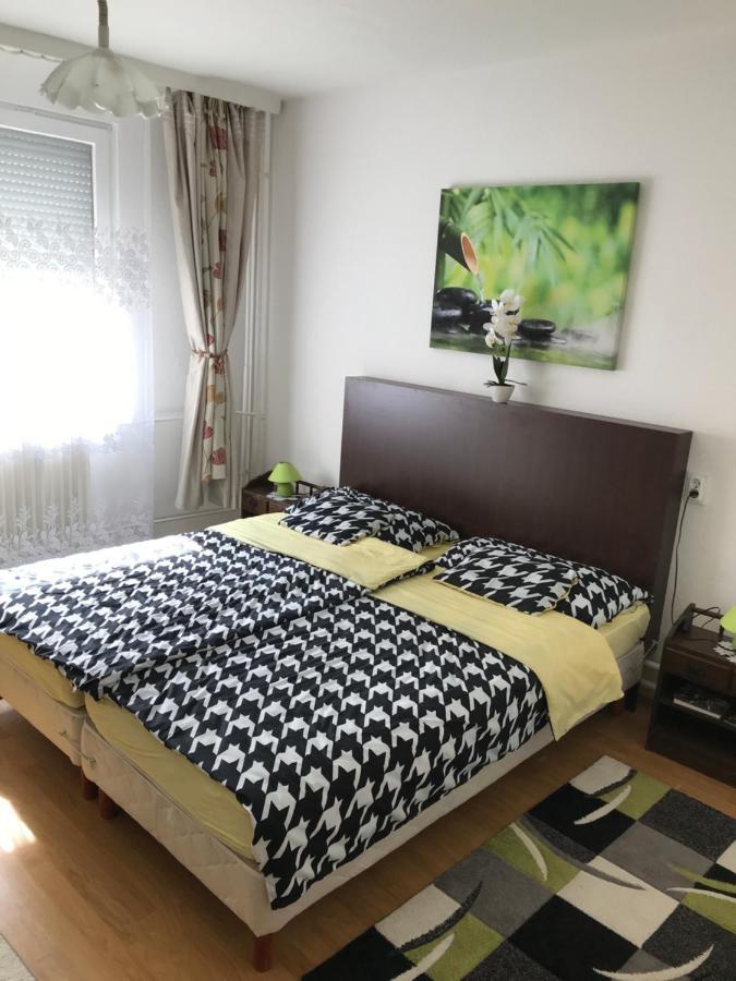 Zen Apartman Ζολνοκ Εξωτερικό φωτογραφία